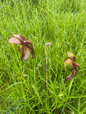 Photo 0307_23 1237721 bytes