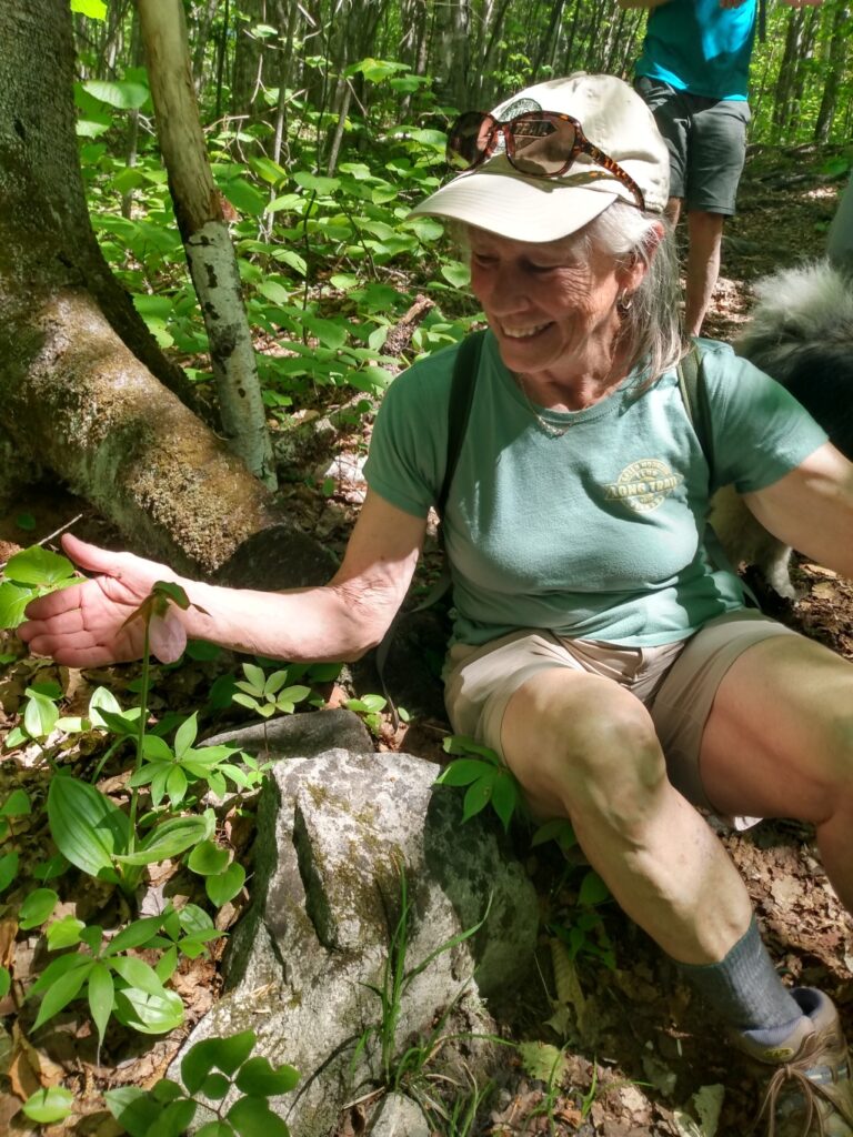 Mon May 29 2023 Flowers and Black Flies by Cynthia Martin & George Longenecker