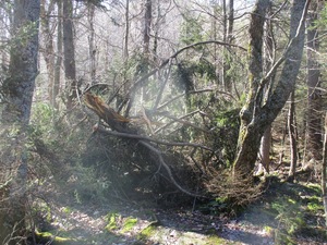 Photo 1043_24 702011 bytes