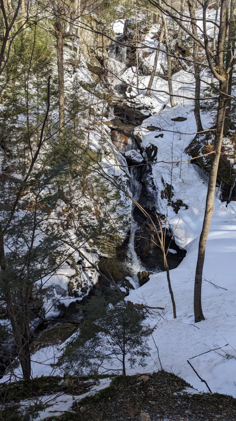 Taylor Lodge hike