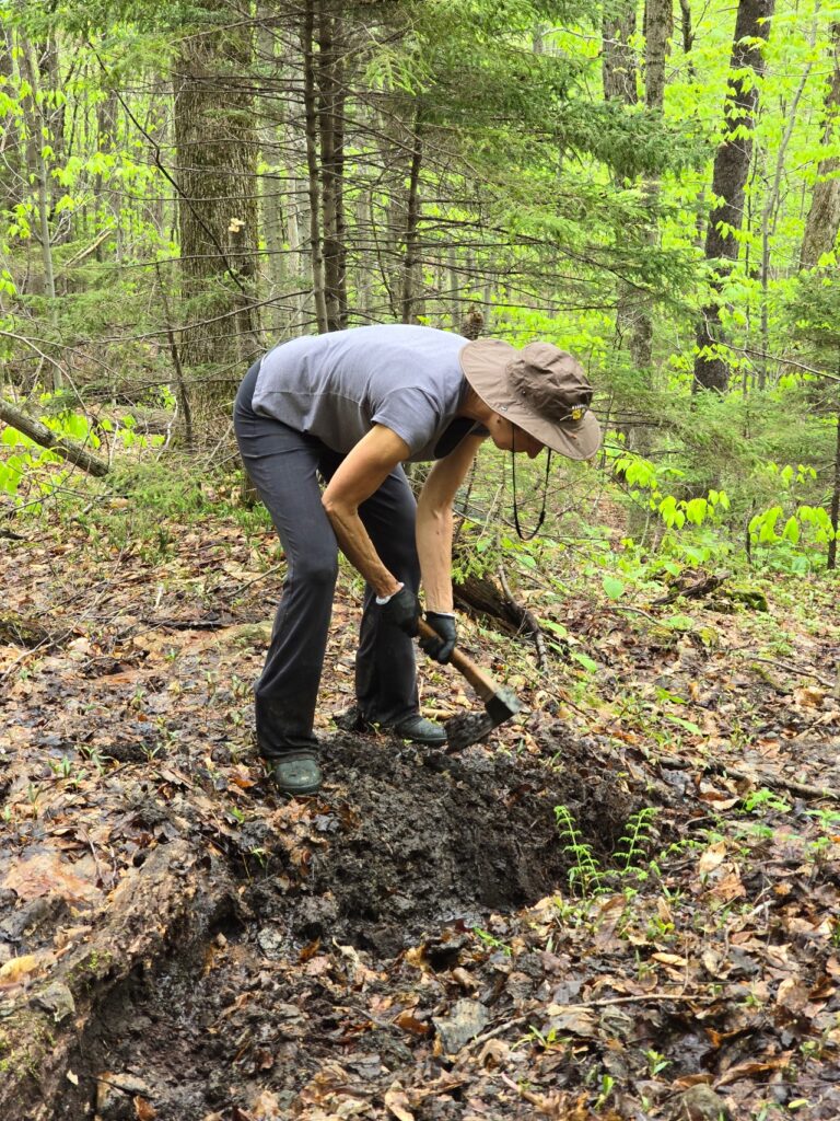 Tue May 21 2024 Work Hike – Barnes Camp by Heidi Kunkel