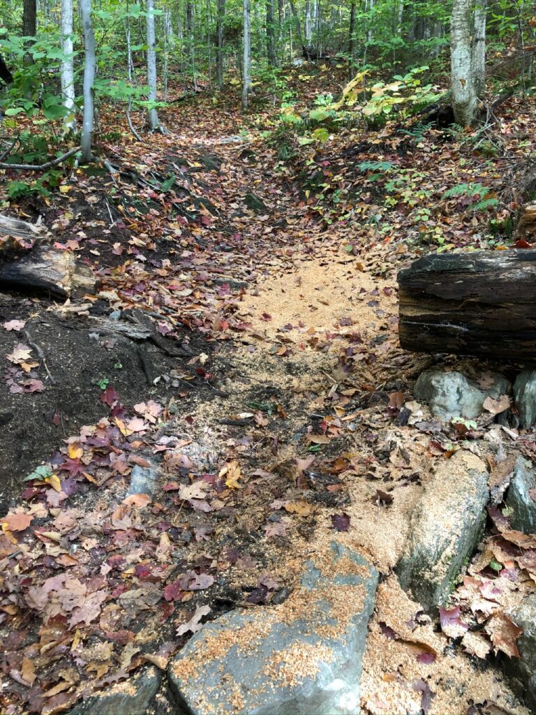 Sun Oct 04 2020 Trail Maintenance – LT North of Barnes Camp by Ira W Sollace and Cindy Griffith