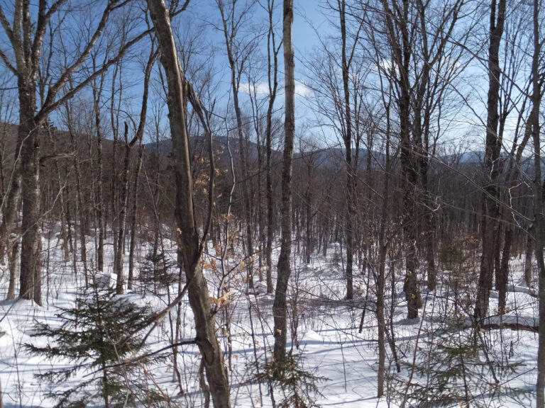 Saturday February 22 2020 Spruce Mt to Seyon State Park by Nancy Schulz